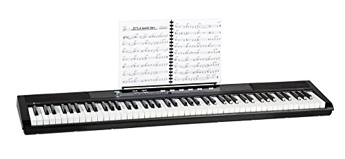 Williams-Legato-Review-Is-this-keyboard-any-good 2