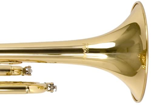 Mendini by Cecilio Gold Trumpet Brass Standard Bb Trumpet, Student Beginner with Hard Case