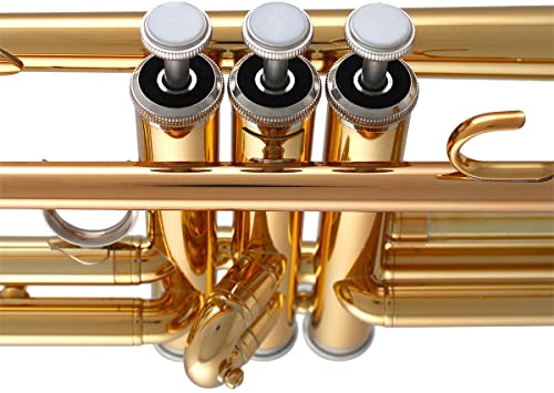 Yamaha YTR-2330 Standard Bb Trumpet Bb Trumpet review