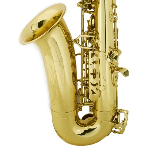 1592568216_798_Top-6-Best-Alto-Saxophones-On-The-Market-2020-Reviews.jpg
