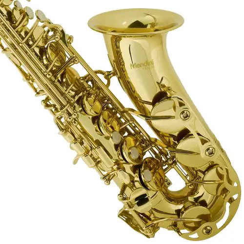 1592568216_892_Top-6-Best-Alto-Saxophones-On-The-Market-2020-Reviews.jpg