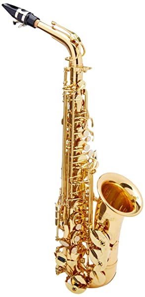 1592568217_559_Top-6-Best-Alto-Saxophones-On-The-Market-2020-Reviews.jpg