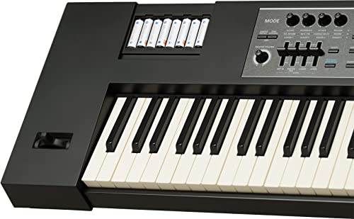 Roland Lightweight, 88-note Weighted-action Keyboard with Pro Sounds (JUNO-DS88)