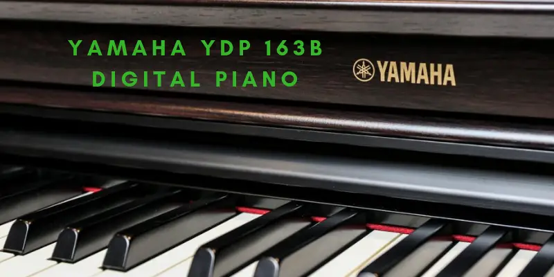 Yamaha-YDP-163B