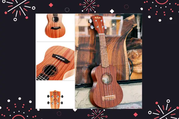 ukuleles for beginners-buying