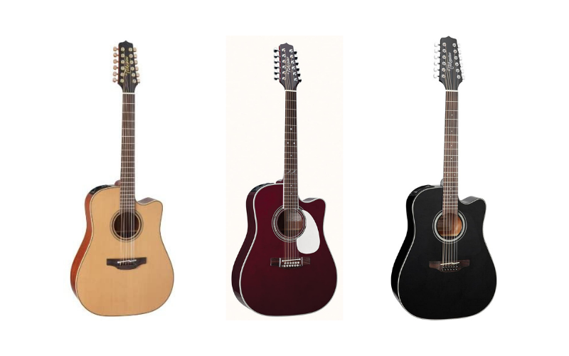 Takamine 12 String Acoustic Guitars