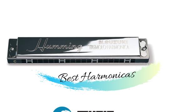 Top 7 Best Professional Harmonica